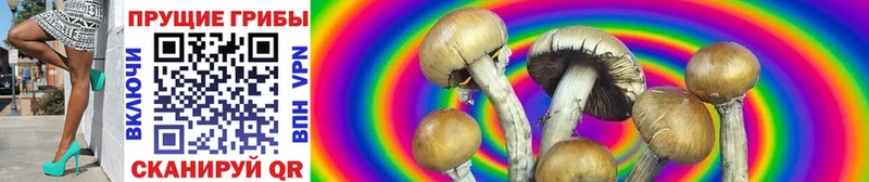 Галлюциногенные грибы GOLDEN TEACHER  Павловск 